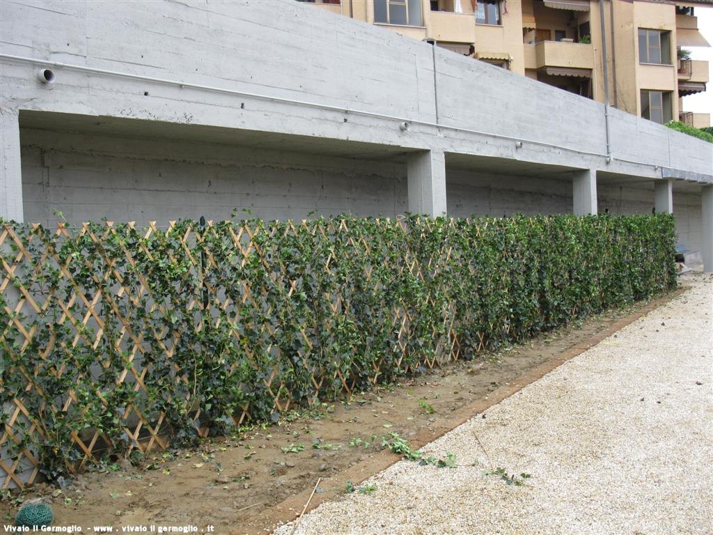 Giardini enti pubblici