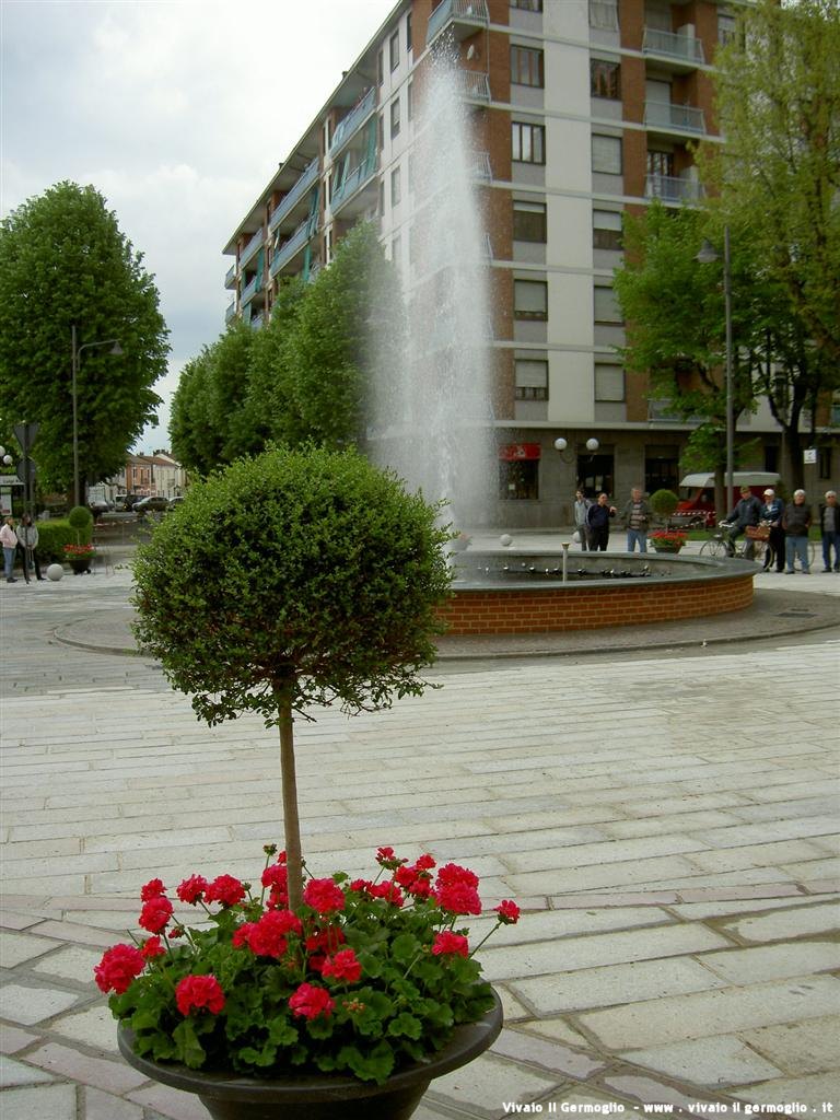 Giardini enti pubblici