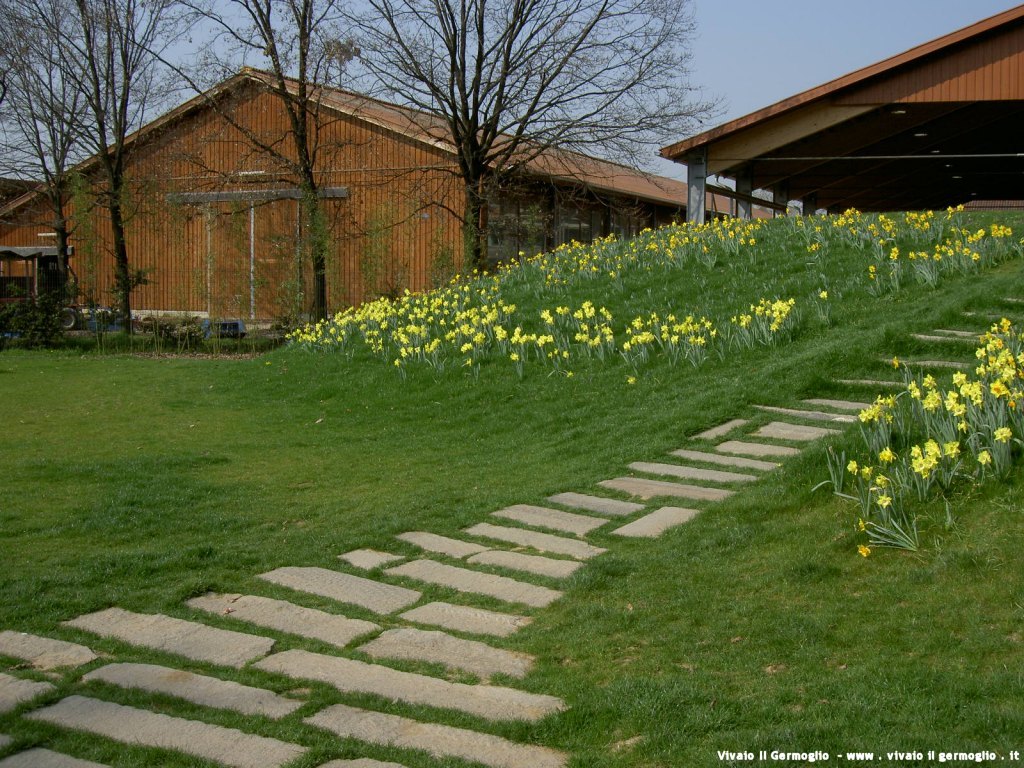 Giardini enti pubblici
