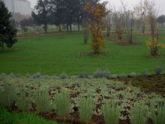 Giardini enti pubblici