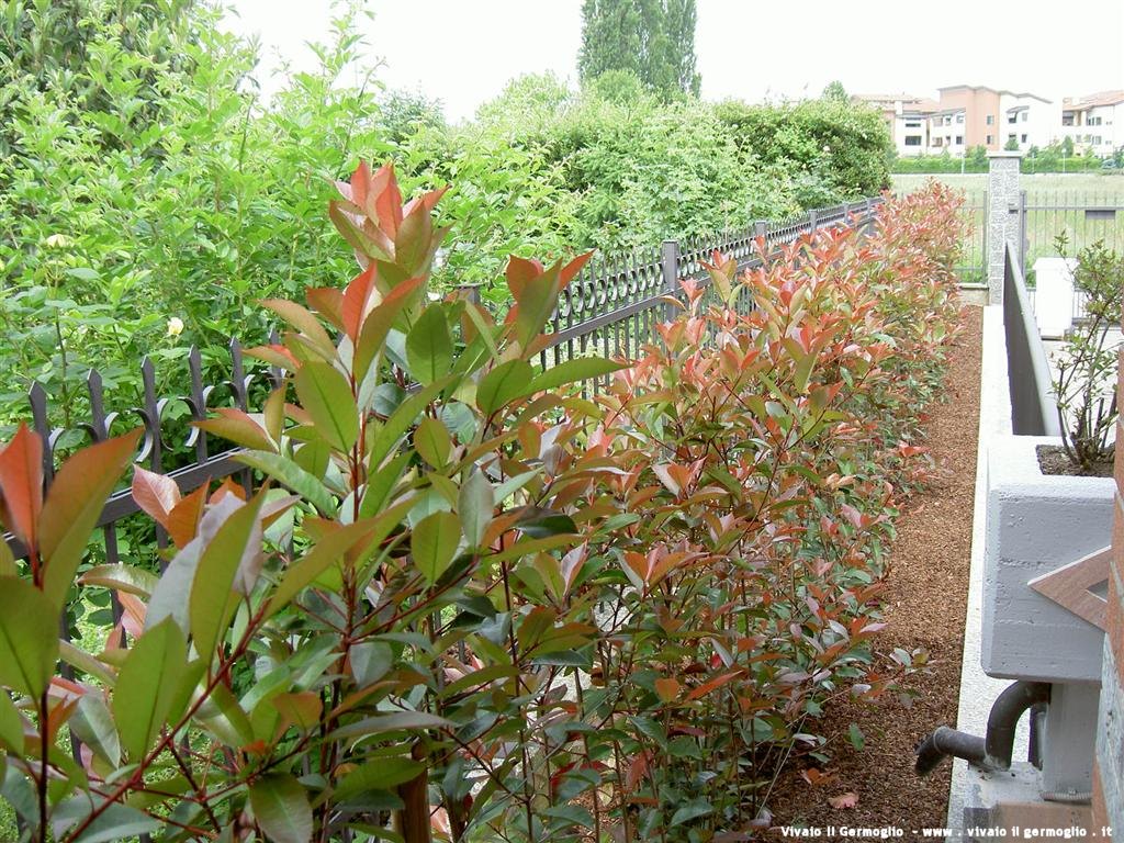 Giardini privati