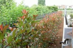 Giardini privati